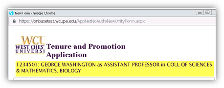 Screenshot of Tenure and Promotion Application