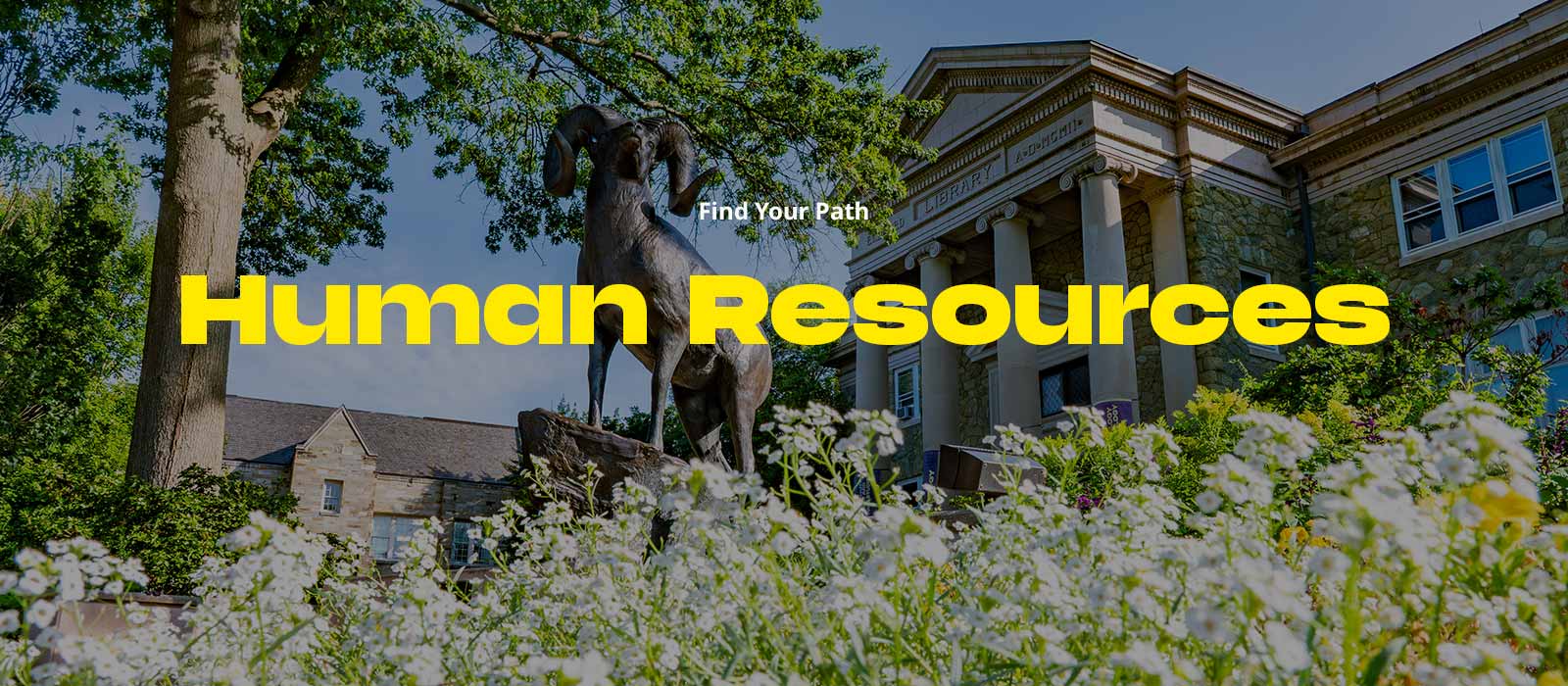 Human Resources Banner