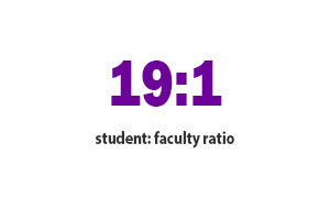 19:1 student: faculty ratio