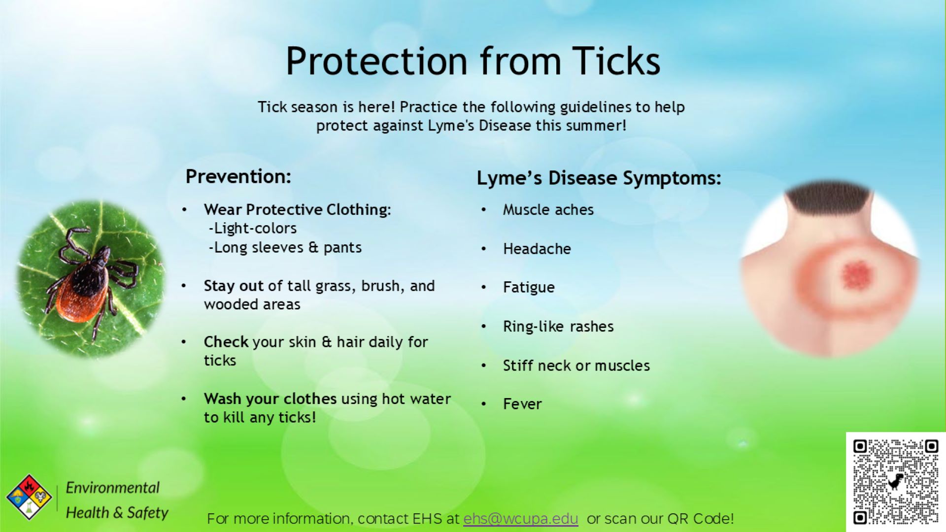 Tick Bites
