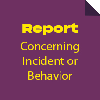 Report concerning incident or behavior