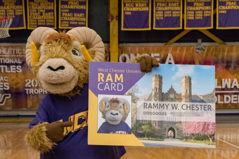 Rammy Holding Ram Card