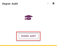 Screenshot higlighting degree audit button