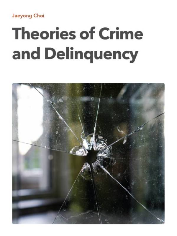 Theory of Crime and Delinquency Cover