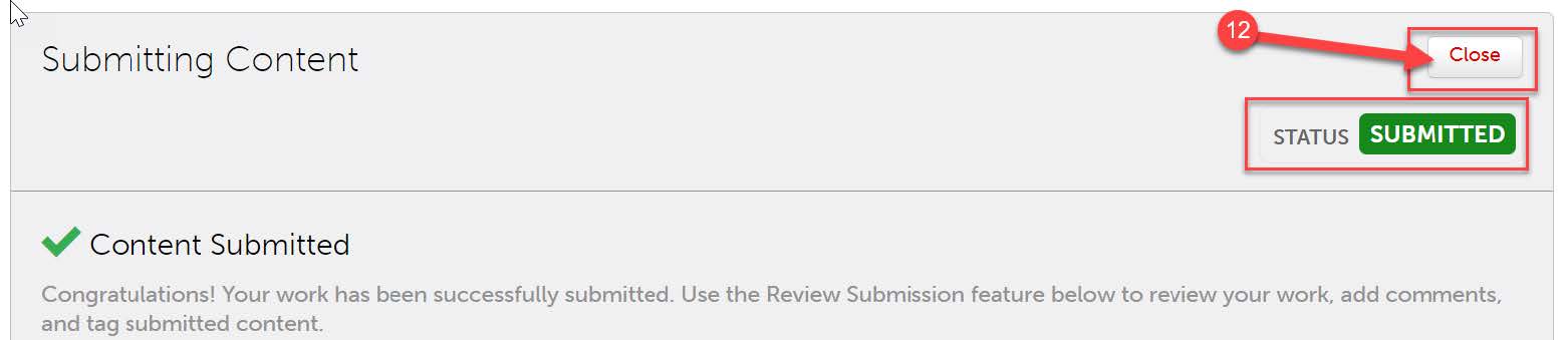 assessor submission successful
