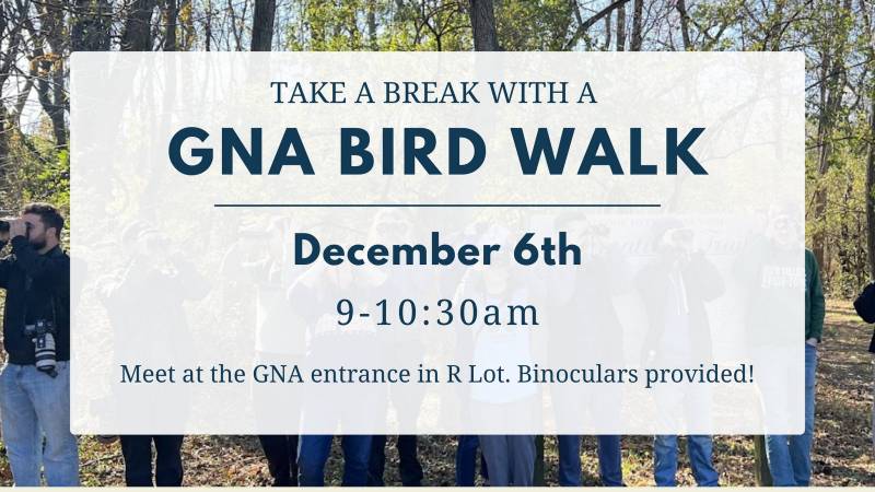 December's bird walks