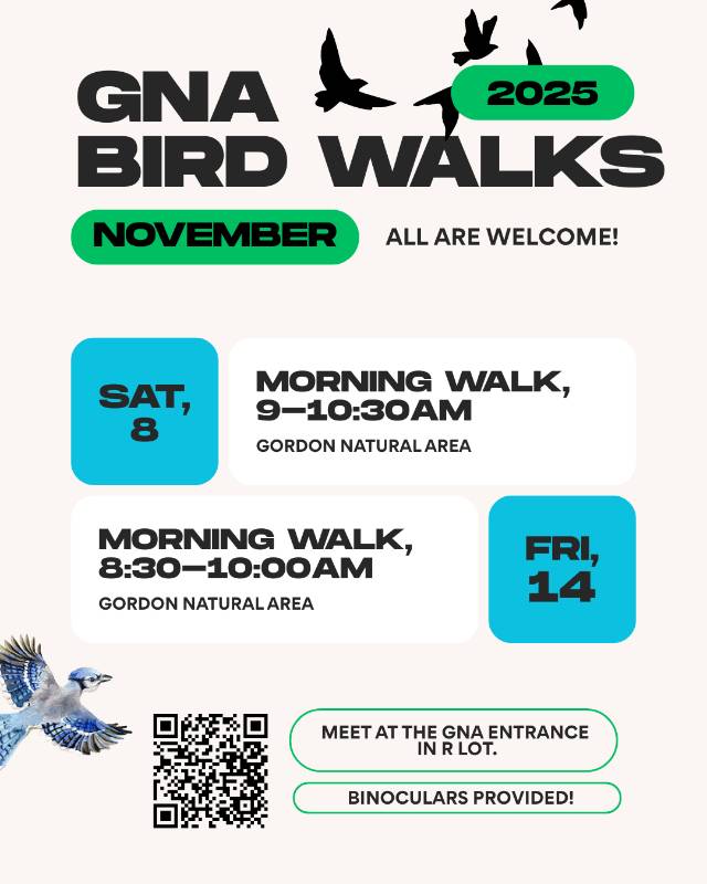 November's Bird Walk schedule November's Bird Walk schedule