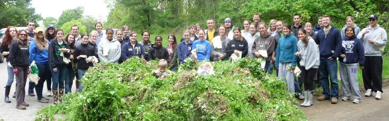 Invasive Species Management: WCU teachers, staff, and students participating in the annual 'Garlic Mustard Pull'
