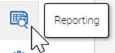 Report Icon