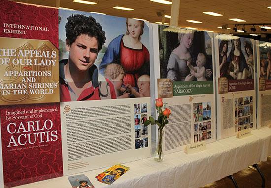 poster boards