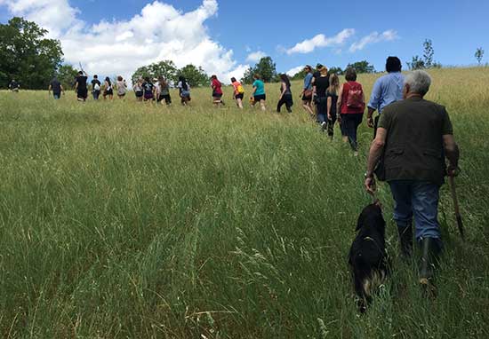 people hiking in grassy field