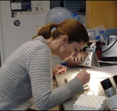 Dr. S. Anne Boettger