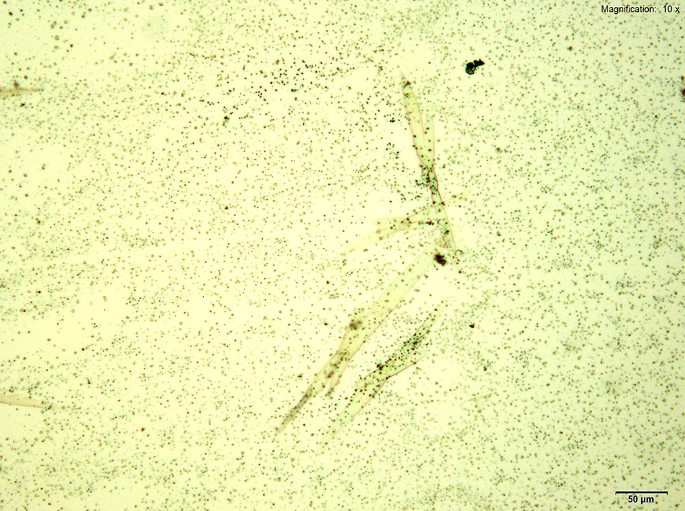 reagent 3