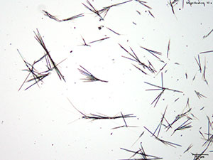reagent 9 thumbnail