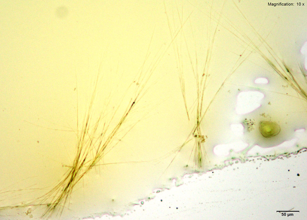 reagent 10