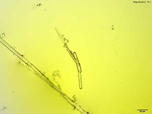 reagent thumbnail 1