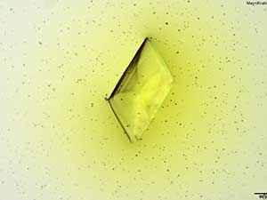 reagent thumbnail 2