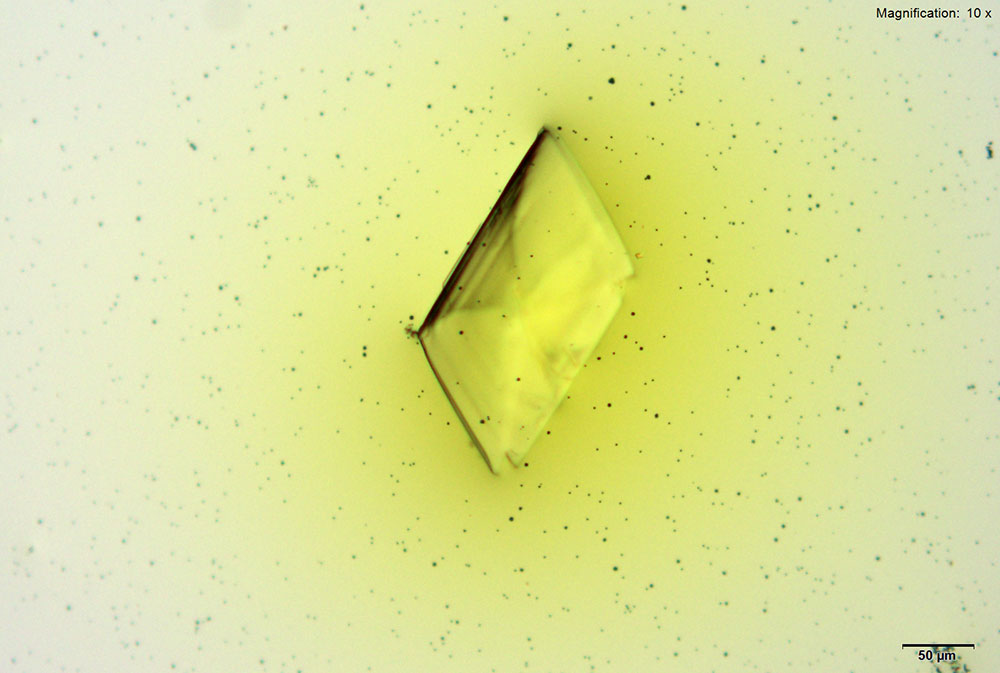 reagent 2