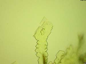 reagent thumbnail 5