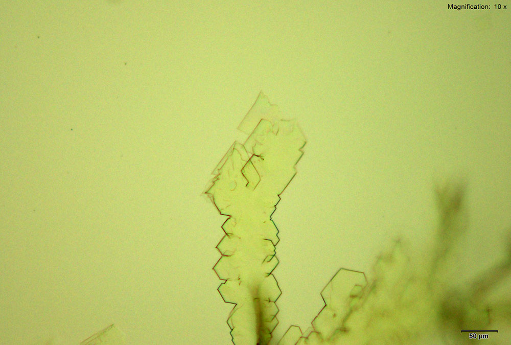 reagent 5