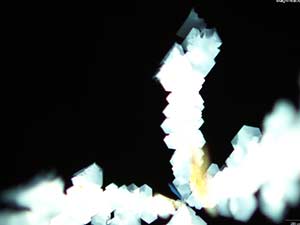 reagent thumbnail 7