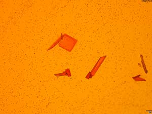 reagent thumbnail 9