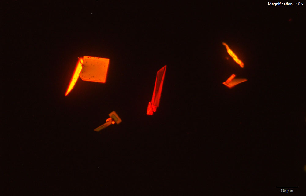 reagent 10