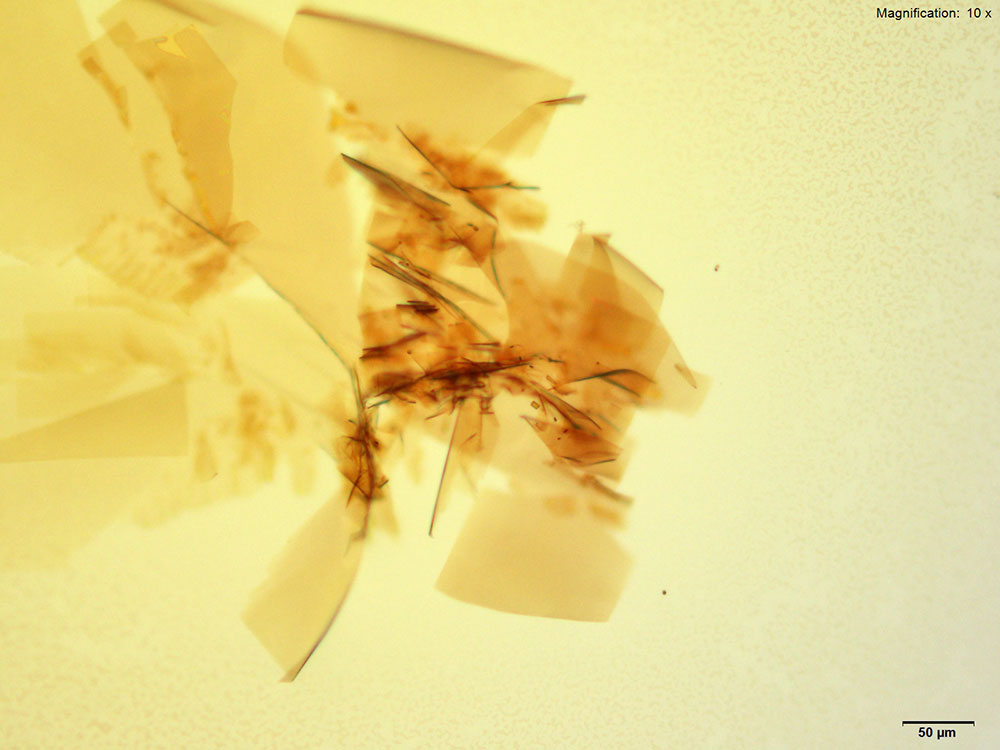 reagent 11