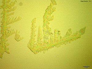 reagent thumbnail 1