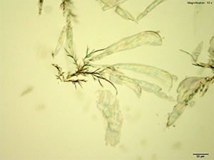 reagent thumbnail 4