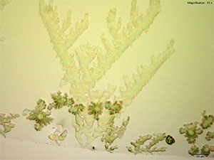 reagent thumbnail 2