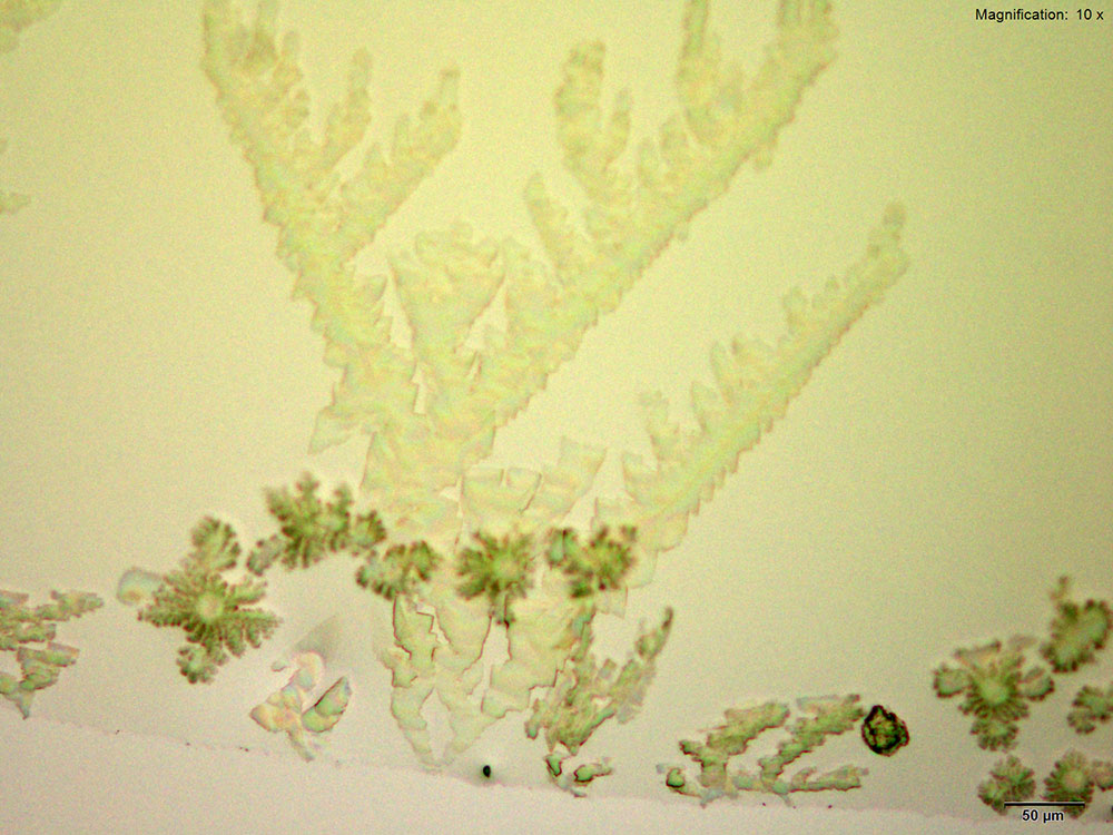 reagent 2