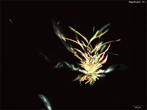 reagent thumbnail 7