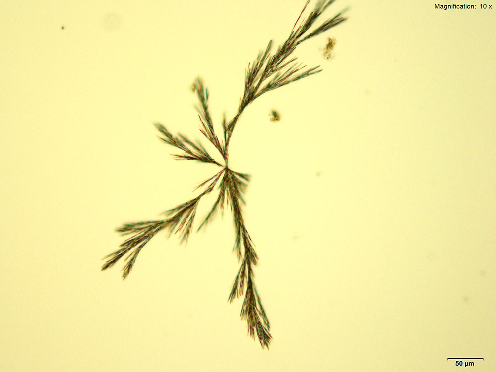 reagent 8