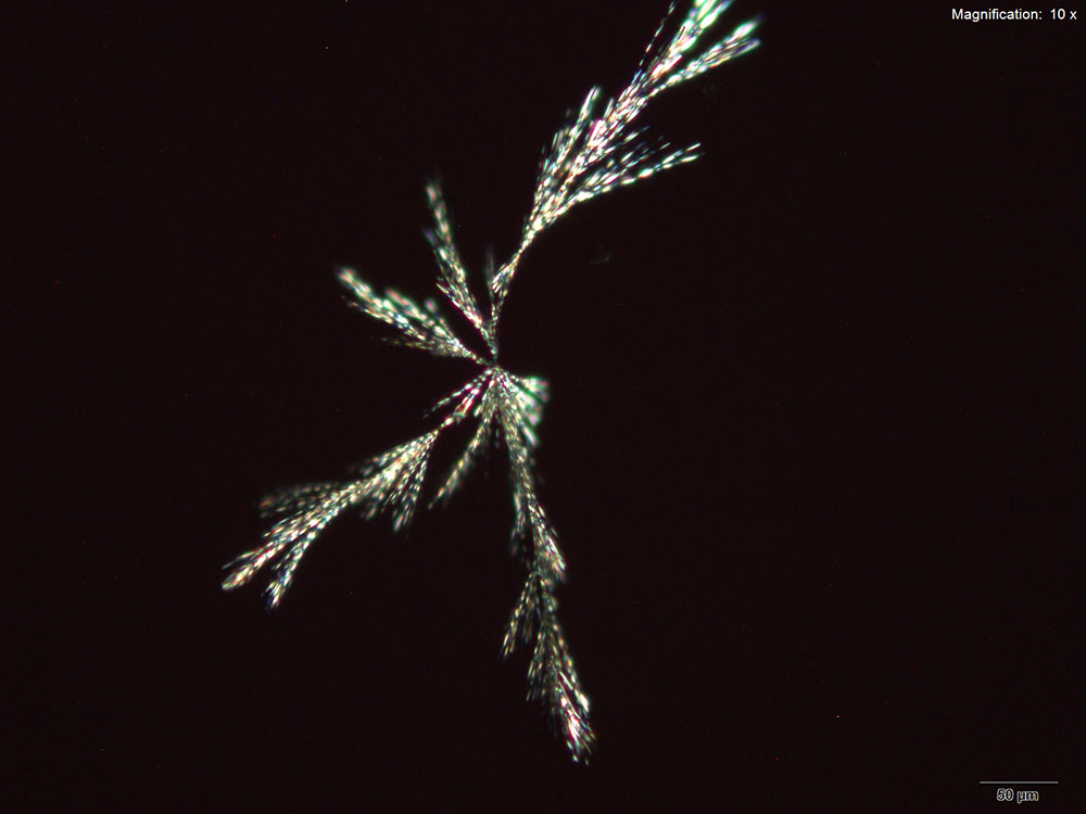 reagent 10