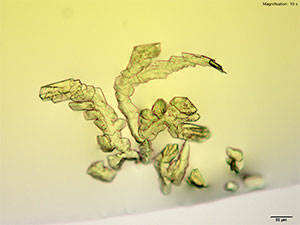 reagent thumbnail 9