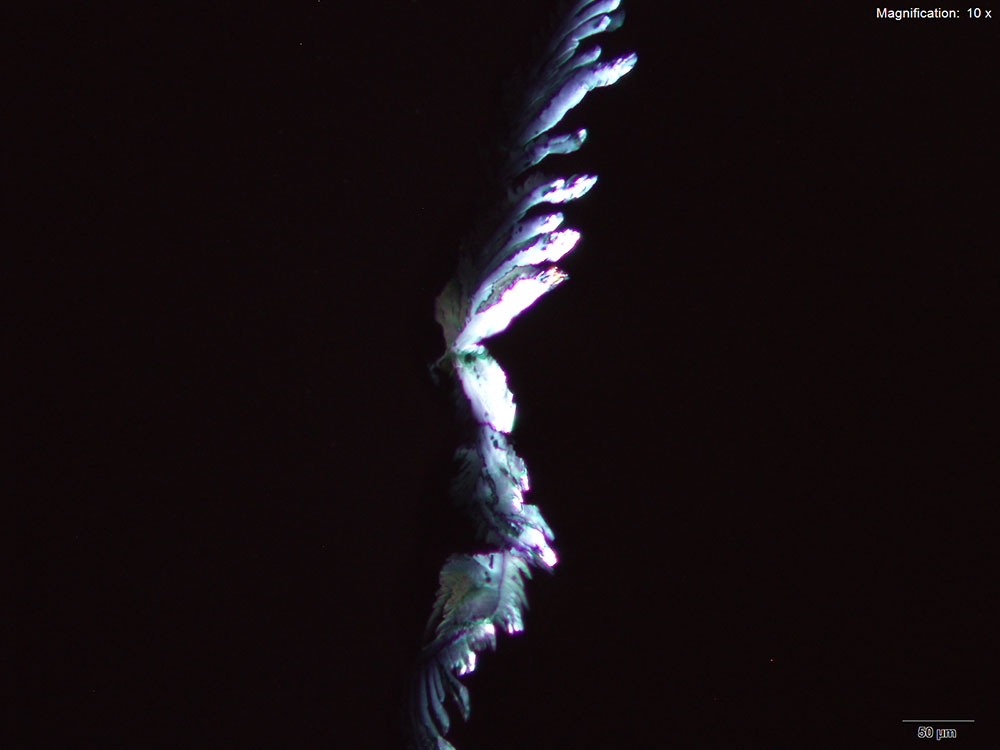 reagent 3
