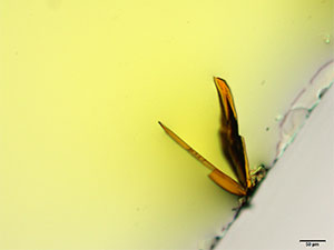 reagent thumbnail 1