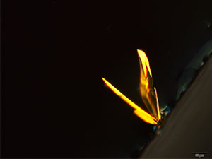 reagent thumbnail 3