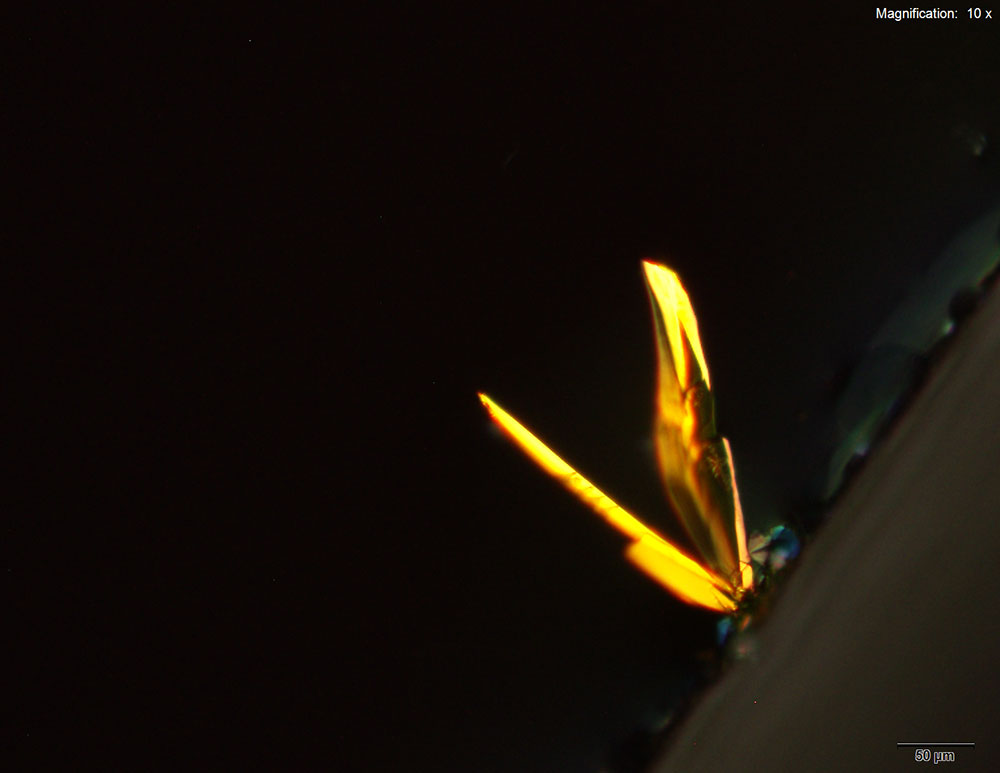 reagent 3