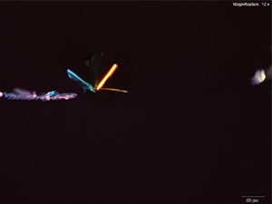 reagent thumbnail 4