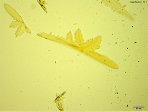 reagent thumbnail 5