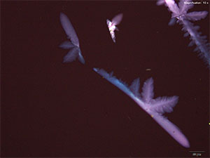 reagent thumbnail 7
