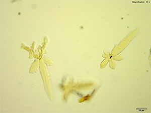 reagent thumbnail 6