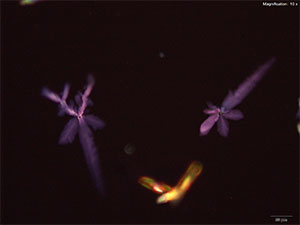 reagent thumbnail 8