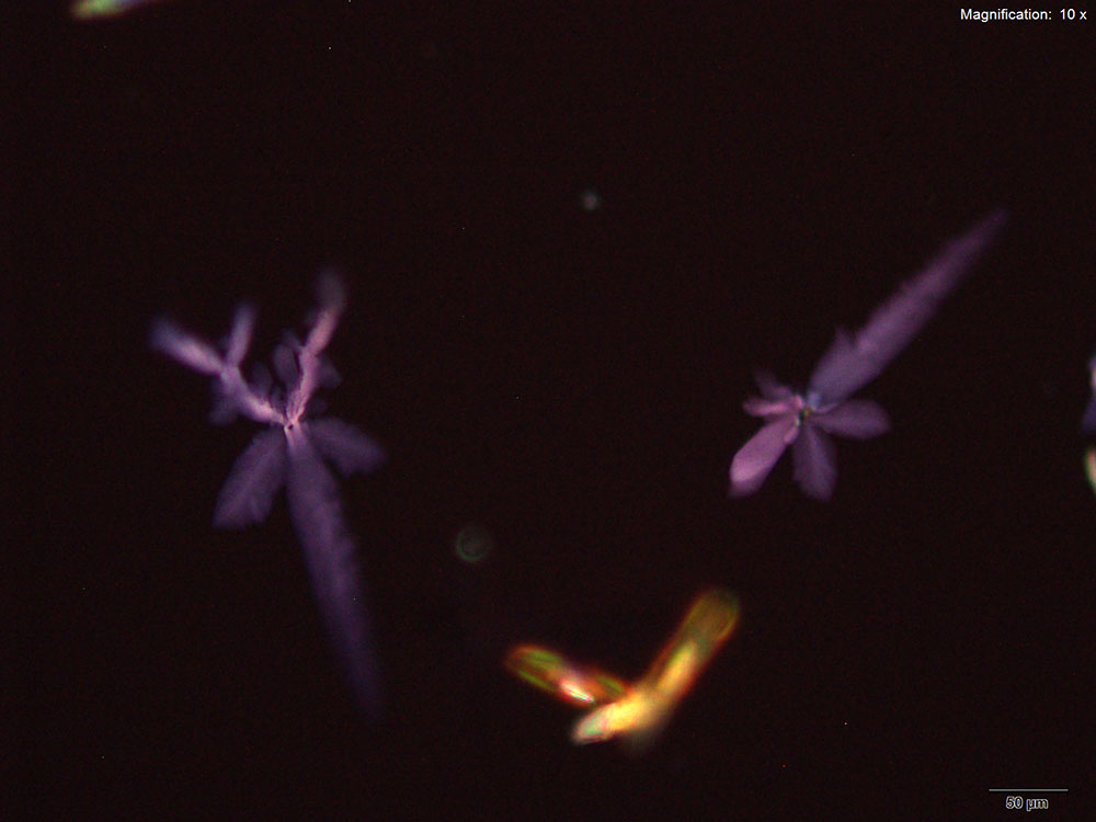 reagent 8