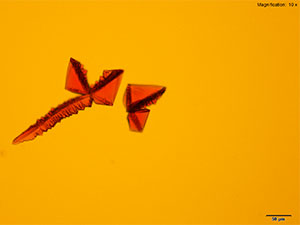 reagent thumbnail 9