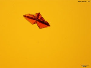 reagent thumbnail 10