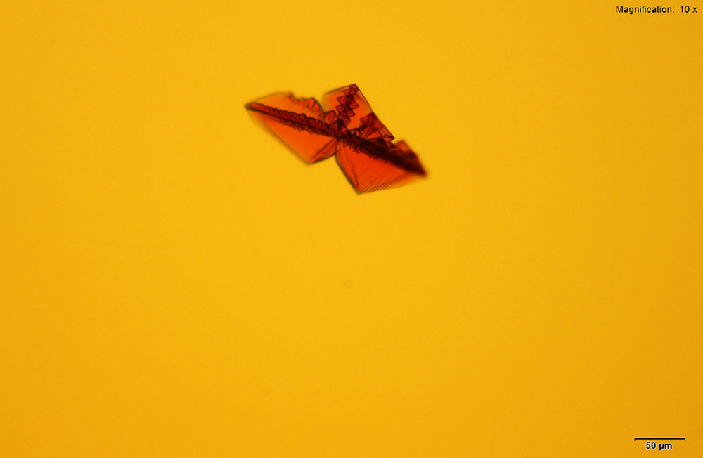 reagent 10