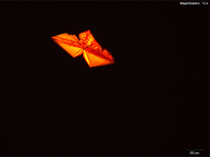 reagent thumbnail 12
